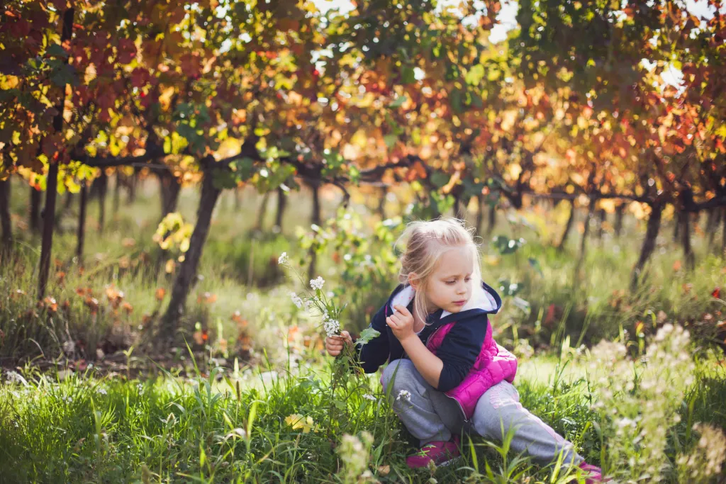 fille-fleurs-vigne-automne
