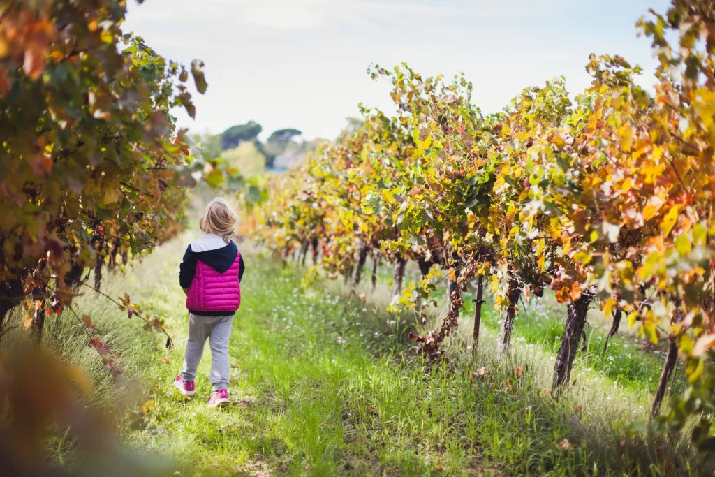 petite-fille-court-champs-vigne