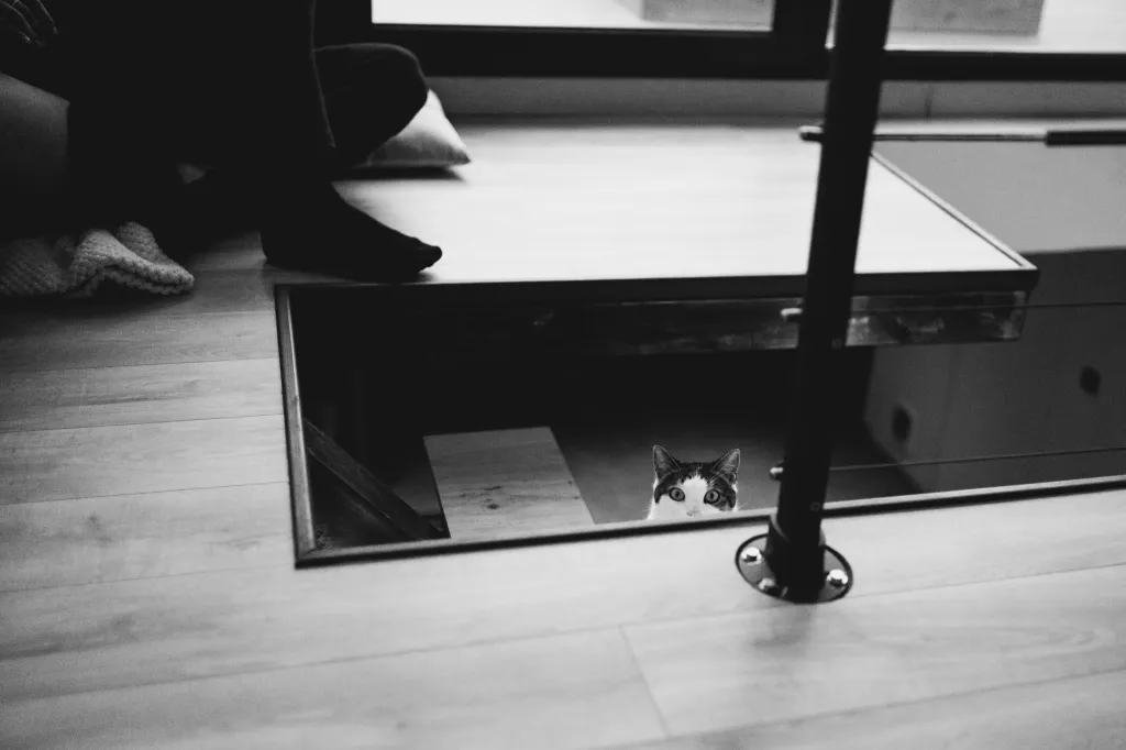 Seance couple cocooning – Aix-en-Provence, photo 11