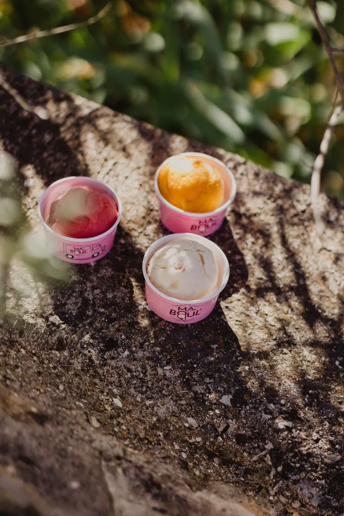Pots de glace posés sur un tronc