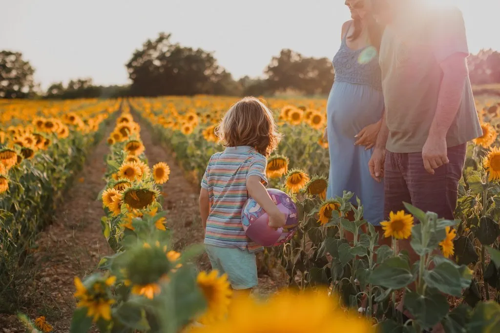 Enfant courant vers ses parents dans les tournesols